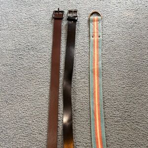 Boy’s Variety Black, Brown, and Canvas Stripe Belt in Teal, Orange & Cream